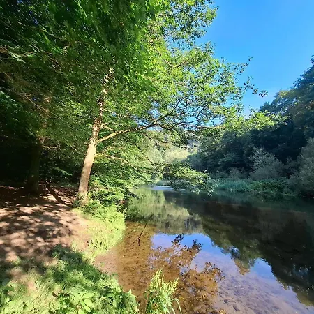 Schlossblick Im Zschopauer Herzen Zschopau