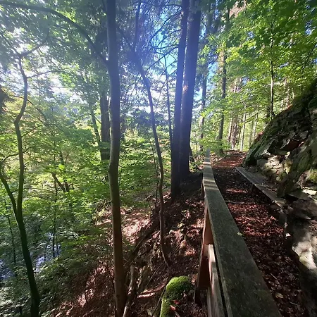 Schlossblick Im Zschopauer Herzen *
